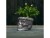 Immagine 6 concrette Pflanzengefäss Totenkopf Blumen 15 x 19 cm, Stahl