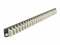 DeLock Verteilerplatte Frontblende 24 Port