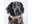 Bild 1 Dog with a mission Halsband Beads Indi Moon, XXL, 4 cm, Halsumfang