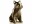 Bild 2 Candellana Kerze Bulldogge Messing, Eigenschaften: Keine Eigenschaft