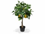Botanic-Haus Kunstpflanze Zitronenbaum, 70 cm, Produkttyp: Topfpflanze