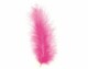 Glorex Federn Marabu Pink, Packungsgrösse: 15 Stück