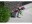 Bild 1 Van der Gucht Blumenkasten Woodstone 45 cm x 16 cm Hellgrau