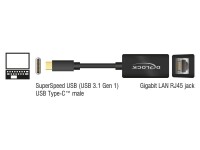 DeLock Netzwerk-Adapter USB-C ? RJ45 1Gbps, Schwarz