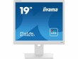 iiyama Monitor Prolite B1980D-W5 19 ", Bildschirmdiagonale: 19 "