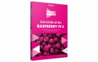 Franzis Sachbuch Informatik Erste Schritte mit dem Raspberry Pi