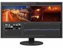 EIZO Monitor CG319X Swiss Garantie