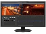 EIZO Monitor CG319X Swiss Edition, Bildschirmdiagonale: 31 "