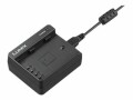 Panasonic DMW-BTC13 - Chargeur de batteries - pour Panasonic