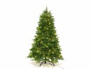 Botanic-Haus Weihnachtsbaum De Luxe 352 LEDs Easy Shape, 180