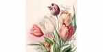 Braun + Company Papierservietten Vintage Tulip 33 cm x 33 cm