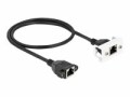 DeLock Patchkabel für Easy 45 Modul Cat 6A, S/FTP