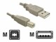Bild 2 DeLock USB 2.0-Kabel USB A - USB B