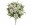 Bild 0 Botanic-Haus Kunstblume Edelweiss-Strauss 29 cm, Produkttyp