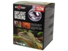 Repti Planet Daylight Basking Spot 150 W, Lampensockel: E27, Lichtfarbe