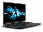 Erazer Notebook Beast X40E (MD62619), Prozessortyp: Intel Core