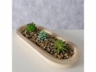 Boltze Kunstpflanze Sukula 8 cm, Produkttyp: Topfpflanze