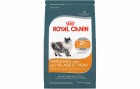 Royal Canin Trockenfutter Hair & Skin Care, 10 kg, Tierbedürfnis