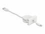 DeLock Easy 45 Modul USB 2.0 Ausrollkabel USB A