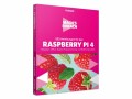 Franzis Sachbuch Informatik 222 Anleitungen für den Raspberry
