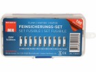 Max Hauri Schmelzsicherung Set 5 x 20 mm Flink, 100