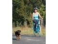 M-Wave Halter für Sattelstange Dog Walk, Produkttyp: Transport
