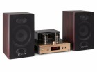 Fenton Micro-HiFi Anlage TA80S Hybrid Stereo Verstärker