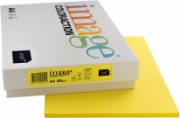 IMAGE COLORACTION Papier à copier Canary A4 274567 jaune, 80g
