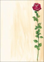 SIGEL     SIGEL Designpapier A4 DP695 Rose Bloom, 90g 25 Blatt