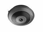 Reolink Netzwerkkamera Fisheye WiFi Indoor FE-W, Bauform Kamera