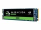 Seagate BarraCuda 510 SSD Retail 250GB