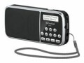 TechniSat DAB+ Radio Viola 3 Schwarz