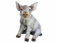 Vivid Arts Dekofigur Schwein, Bewusste Eigenschaften: Keine
