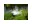Image 3 dobar Vogeltränke Blatt-Paradies, 31 x 29.5 x 5.5 cm