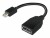 Bild 0 Lenovo - DisplayPort-Adapter - Mini