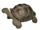Vivid Arts Dekofigur Schildkröte, Bewusste Eigenschaften: Keine