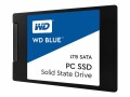 SanDisk WD Blue PC SSD WDBNCE0010PNC - SSD - 1