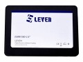 Leven JS300 - SSD - 960 GB - intern - 2.5" (6.4 cm) - SATA 6Gb/s