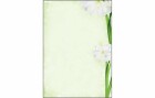 Sigel Motivpapier Green Flower A4, 25 Blatt, Papierformat: A4