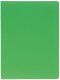 EXACOMPTA Sichtbuch            A4 - 8543E     grün