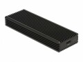 DeLock Externes Gehäuse 42004 USB 3.1 Gen.2 Typ-C