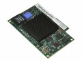 Lenovo Emulex 8Gb Fibre Channel Expansion Card (CIOv) for IBM