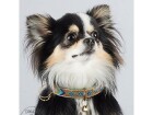 Dog with a mission Halsband Beads Indi Moon, XS, 2 cm, Halsumfang