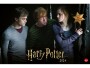 Heye Kalender Harry Potter Broschur XL 2024, Papierformat: 45