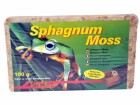 Lucky Reptile Bodensubstrat Sphagnum Moss 100 g/5 l, Produkttyp