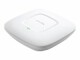 Bild 5 TP-Link Access Point EAP115, Access Point Features: Multiple SSID