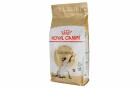 Royal Canin Trockenfutter Siamese Adult, 2 kg, Tierbedürfnis