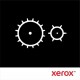 Xerox - (220 V) - kit unité de fusion