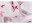 Bild 7 MAKIAN Mulltuch 4-er Set 80 x 80 cm Rosa/Rot