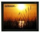 Celexon Home Cinema frame screen - Projection screen